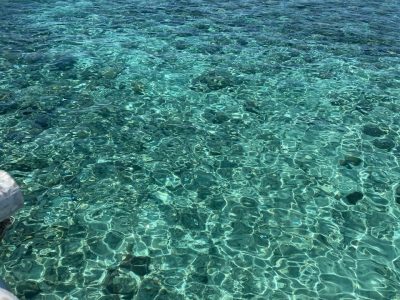 cebu hopping tour3