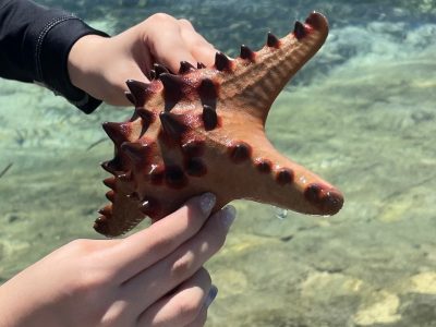 cebu hopping tour6